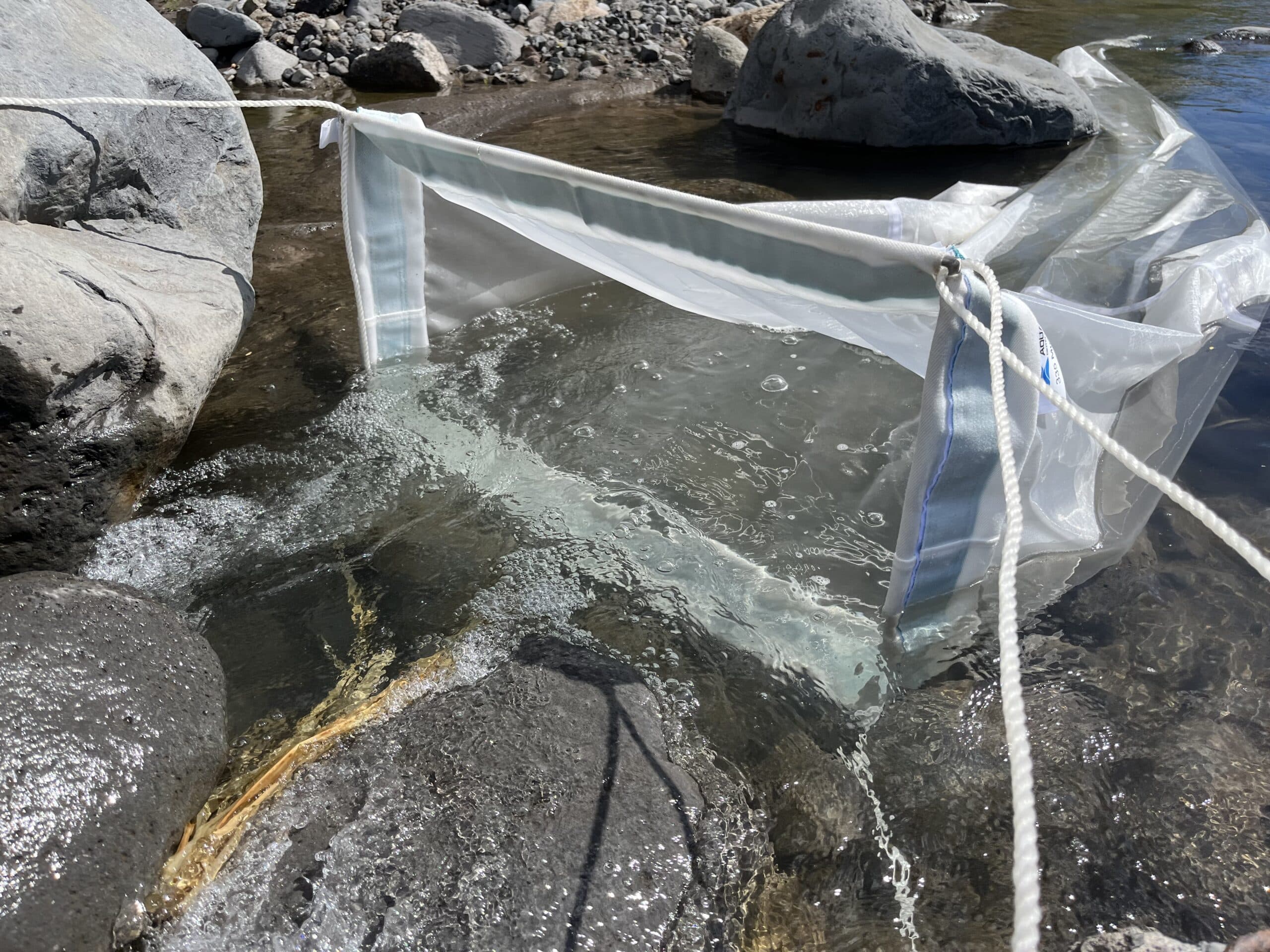 Prélèvements des microplastiques 1