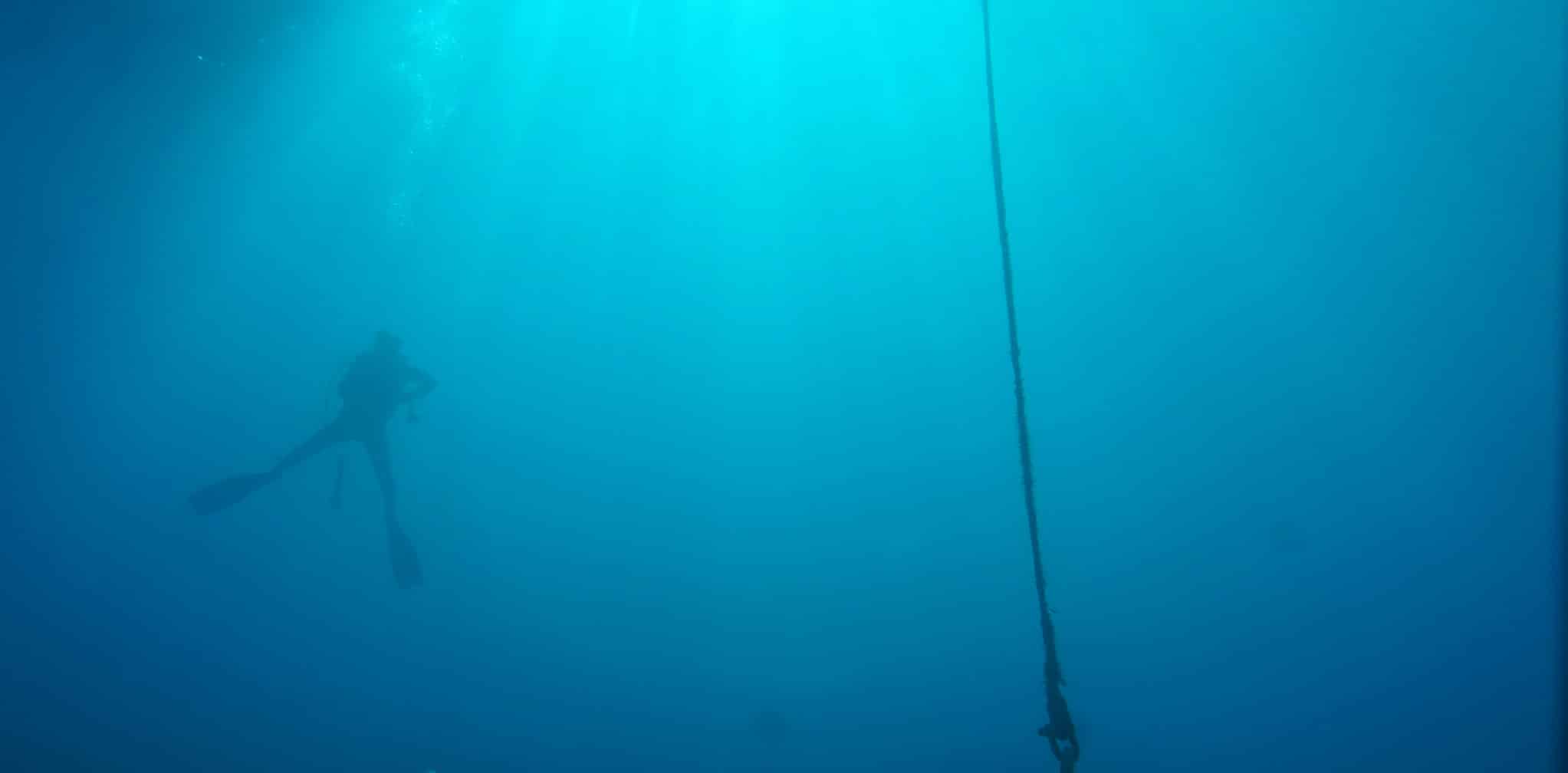 Diver